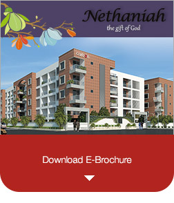 Download-Nethaniah_e-brochure